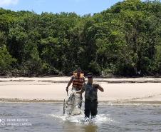 Batalhão Ambiental apreende rede de pesca na Ilha das Peças