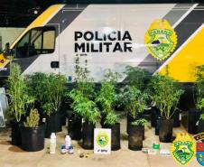 Três pessoas são encaminhadas pela PM por tráfico e crack, maconha e dinheiro são apreendidos no Noroeste do estado
