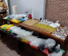 PM apreende mais de 3,4 mil porções de drogas em Campo Magro (PR) após denúncia