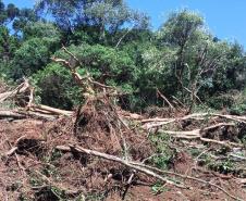 Trio é autuado em quase R$ 100 mil por destruição de vegetação nativa em Guarapuava (PR)