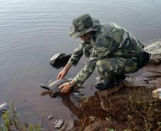 Batalhão Ambiental resgata tartarugas ameaçadas de extinção presas em rede de pesca na Usina de Salto Caxias