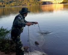 Batalhão Ambiental resgata tartarugas ameaçadas de extinção presas em rede de pesca na Usina de Salto Caxias