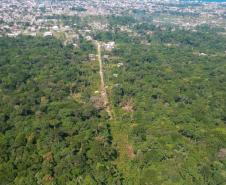 Polícia Ambiental identifica 13 pontos com corte de vegetação nativa em Guaratuba (PR)