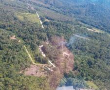 Polícia Ambiental identifica 13 pontos com corte de vegetação nativa em Guaratuba (PR)