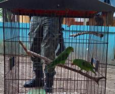 Polícia Ambiental combate descarte de resíduos a céu aberto e resgata aves silvestres no Litoral