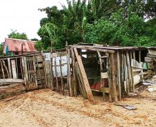 Fiscalização da Polícia Ambiental localiza ocupação irregular em área de proteção ambiental permanente em Paranaguá (PR)