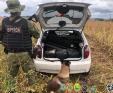 BPFron apreende suplementos alimentares em Terra Roxa (PR), no Oeste do estado