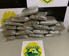 Ações distintas da Operação Hórus resultam na apreensão de drogas e na recuperação de carro roubado em regiões fronteiriças do estado