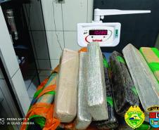 Mais de 100 quilos de maconha são apreendidos durante ação da PM em Rio Branco do Ivaí, no Norte do estado