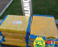 Após longo acompanhamento tático, PM apreende cerca de 140 kg de maconha e encaminha suspeito em Toledo (PR)