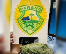 Em situações distintas, BPRv apreende mais de 10 quilos de skunk e um pé de maconha em situações distintas