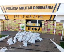 Maior apreensão de maconha do ano é localizada pelo BPRv em meio à carga de sementes