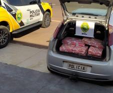 BPRv apreende quase 200 quilos de maconha durante fiscalização de rotina no Noroeste do estado