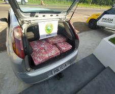 BPRv apreende quase 200 quilos de maconha durante fiscalização de rotina no Noroeste do estado