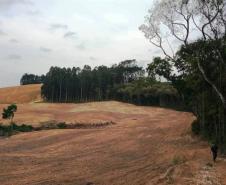 ​Polícia Ambiental reforça ações e atende 15 mil ocorrências em 2020