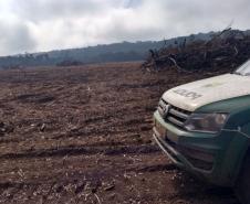 ​Polícia Ambiental reforça ações e atende 15 mil ocorrências em 2020