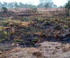 ​Polícia Ambiental reforça ações e atende 15 mil ocorrências em 2020