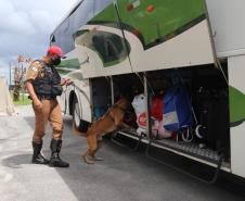 Cães do BPRv protagonizam apreensões de drogas no litoral durante Verão Consciente
