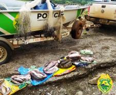 No Noroeste do estado, PM apreende quase 30 metros de rede e quase 500 quilos de peixes durante fiscalização da Piracema