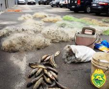No Noroeste do estado, PM apreende quase 30 metros de rede e quase 500 quilos de peixes durante fiscalização da Piracema