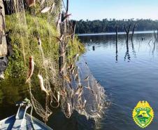 No Noroeste do estado, PM apreende quase 30 metros de rede e quase 500 quilos de peixes durante fiscalização da Piracema