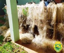 No Noroeste do estado, PM apreende quase 30 metros de rede e quase 500 quilos de peixes durante fiscalização da Piracema