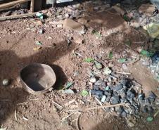 Policiais militares resgatam oito cães que estavam em situação de maus tratos e encaminham mulher em São João (PR)