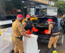 BPRv apreende mais de meia tonelada de maconha e haxixe em Cianorte (PR)