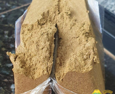 BPRv apreende mais de meia tonelada de maconha e haxixe em Cianorte (PR)