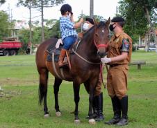 Em 30 anos, Centro de Equoterapia da Polícia Militar já atendeu mais de 5 mil famílias