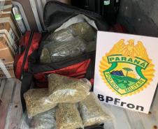Passageiro de ônibus que seguia para Umuarama com maconha é preso pelo BPFron em Xambrê