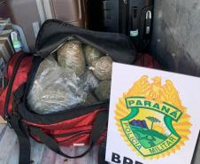 Passageiro de ônibus que seguia para Umuarama com maconha é preso pelo BPFron em Xambrê