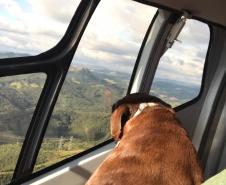 BPMOA encontra mulher perdida no Canyon Guartelá, nos Campos Gerais