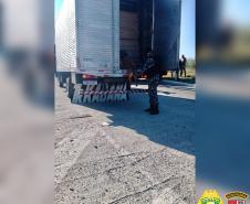 Cães de faro do BPRv auxiliam em operações contra o tráfico de drogas no Norte Pioneiro e na Região Metropolitana de Curitiba