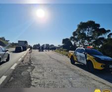 Cães de faro do BPRv auxiliam em operações contra o tráfico de drogas no Norte Pioneiro e na Região Metropolitana de Curitiba