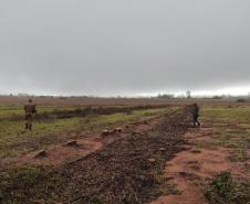 Polícia Ambiental e IAT encaminham aves feridas por chuva de granizo em Santa Mônica, no Noroeste do estado