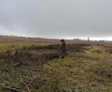 Polícia Ambiental e IAT encaminham aves feridas por chuva de granizo em Santa Mônica, no Noroeste do estado