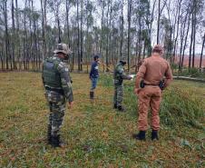 Polícia Ambiental e IAT encaminham aves feridas por chuva de granizo em Santa Mônica, no Noroeste do estado