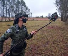 Polícia Ambiental e IAT encaminham aves feridas por chuva de granizo em Santa Mônica, no Noroeste do estado