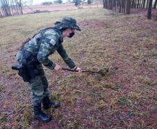 Polícia Ambiental e IAT encaminham aves feridas por chuva de granizo em Santa Mônica, no Noroeste do estado