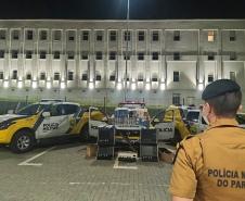 Polícia Militar apreende arma e munições durante fiscalização de medidas sanitárias na Capital