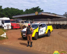 Operação Parador 27: Policiais rodoviários apreendem quase uma tonelada de maconha e aplicam 900 notificações de trânsito, em todo o Paraná