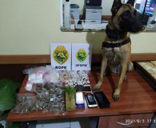 Em ocorrências distintas, PM apreende maconha, crack, ecstasy e dinheiro e encaminha suspeitos no Sudeste do PR