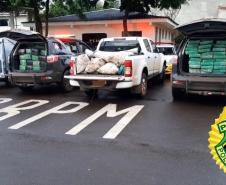 Mais de uma tonelada de maconha é apreendida pela PM em Santa Helena