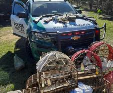 Polícia Ambiental apreende quatro armas e 12 pássaros silvestres em Rio Negro (PR)