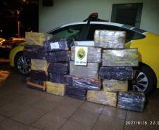 Adolescente é flagrado pela PM transportando mais de 300 quilos de maconha em Guaíra (PR)
