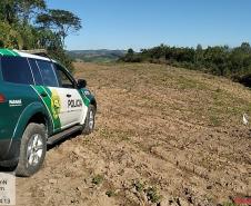  Polícia Ambiental e IAT localizam 406 hectares desmatados no Centro-Sul e aplicam R$ 4,2 milhões em multas