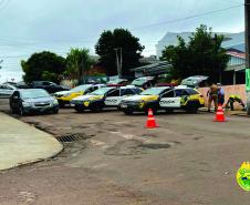 Mais de 600 quilos de maconha são apreendidos pela PM em Nova Cantu (PR)