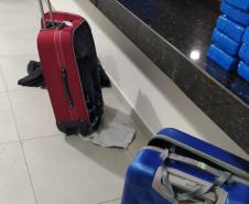 Quase 100 quilos de maconha são apreendidos em ônibus de viagem e três pessoas são detidas em Cafezal do Sul