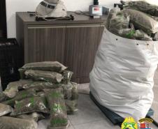 BPRv localiza 61 quilos de skunk durante abordagem em Floresta (PR)